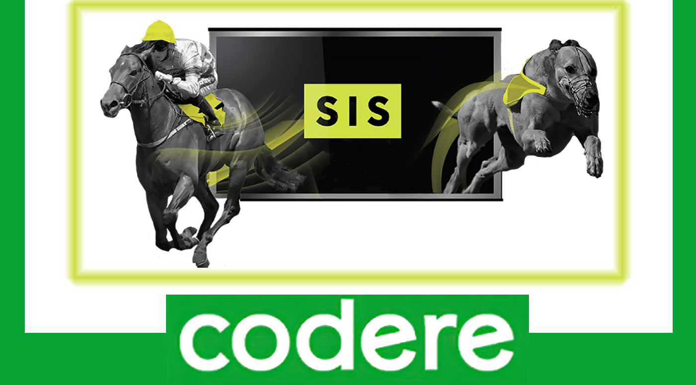 Codere caballos